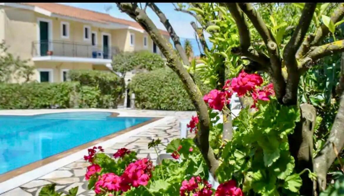 Lemon Tree Apartments B C Argostolion Dış mekan fotoğraf
